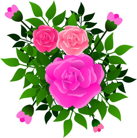 Pink,flower,prickly Rose - Hybrid Tea Rose Clipart - Full Size Clipart png image