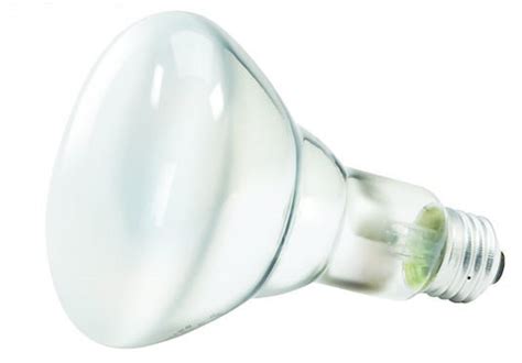 5 Best Flood Light Bulbs Perfect Tiny Tool Tool Box