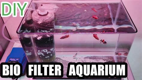 Cara Membuat Biofilter Aquarium Dengan Menggunakan Aerator Youtube