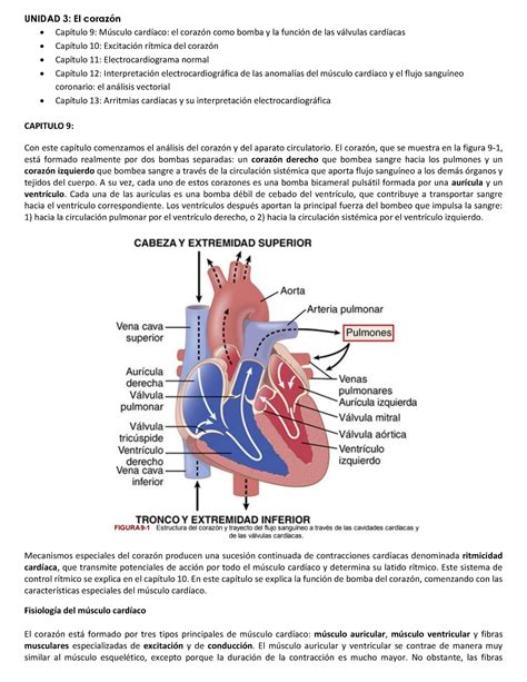 Guyton Sistema Cardiovascular Fisiologia Musculo Cardiaco Unidad 3
