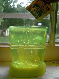 How to be a monkey. Your questions answered - sea monkeys