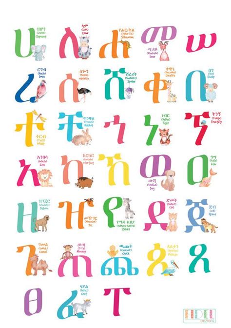 Geez Fidel Animal Poster Amharic Animal Alphabet Poster Habesha
