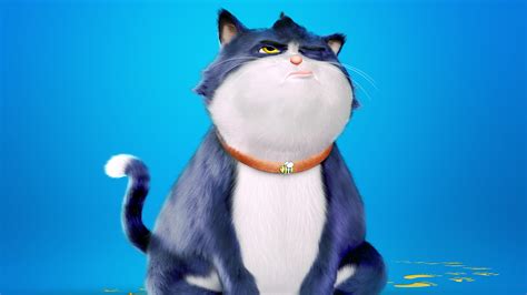Elenco De Um Gato De Sorte