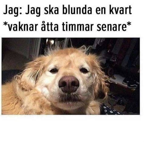 Quote Citat Svenska Swedish Funny Rolig Meme Familj Vänner Kärlek Pojke