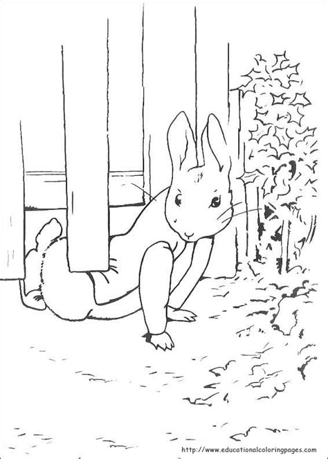Peter Rabbit Coloring Pages - Educational Fun Kids Coloring Pages and