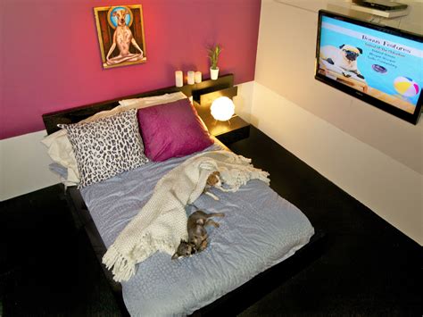 D Pets Hotel Brings Luxury For Dogs Business Insider