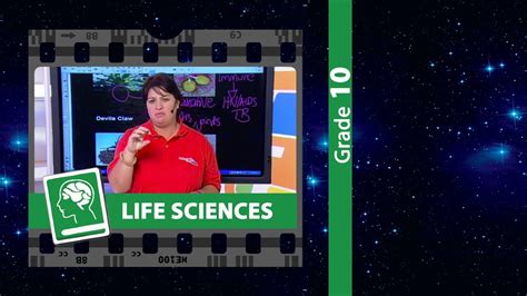 Or an animal cell, but in reality, the shapes of cells can vary widely. Animal Tissue: Traditional & Technological Applications ...