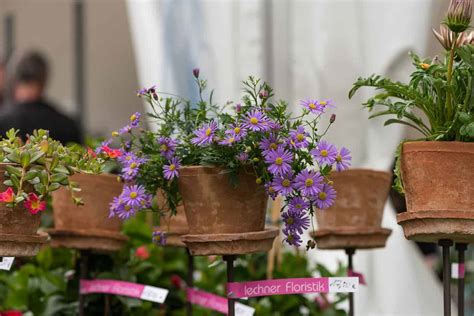 See more of faszination garten on facebook. Faszination Garten 27.-29.5.2016 • Lechner Floristik