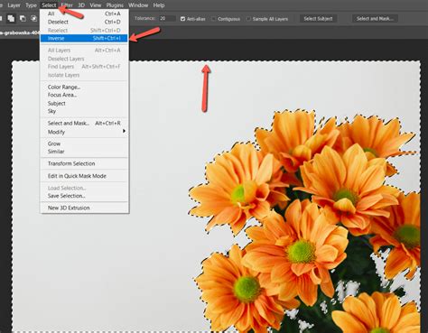 How To Change Background Color In Photoshop 5 Steps