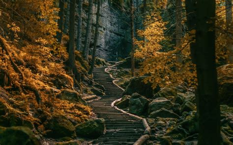 1920x1200 Path Stairs Dark Forest Germany Nature Landscape Trees Fall