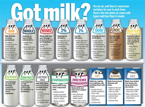 Dairy Fun Facts The Low Down On Milk Types And How Theyre Made