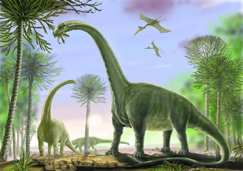 5 Types Of Gigantic Sauropod Dinosaurs Holyvip