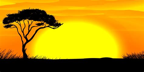 8m X 4m African Sunset Backdrop African Sunset Sunset Canvas