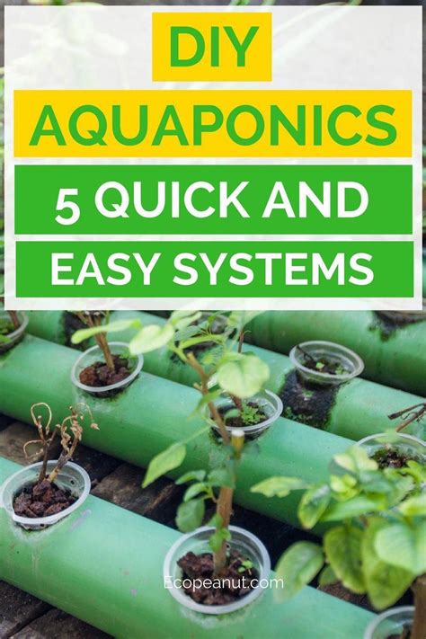 5 Secrets To Building A Successful Aquaponics System With Images