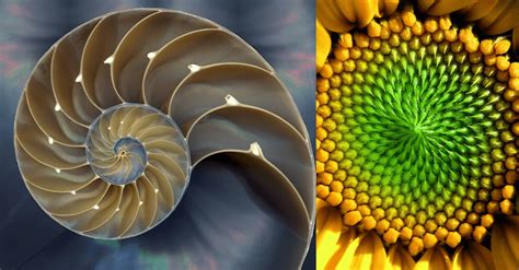Sequencia Fibonacci