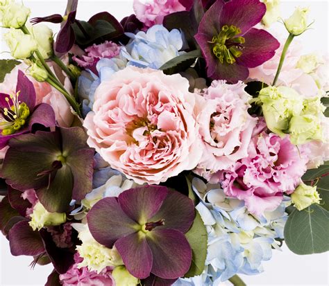 We would like to show you a description here but the site won't allow us. Buchet Mireasa/Nasa hortensie,trandafiri si heleborus