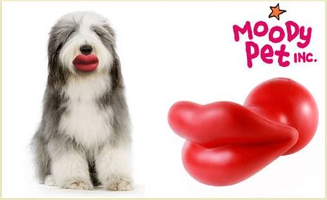 Tons Of Laughs From This Doggy Toy P Cute Puppies Dogs And Puppies