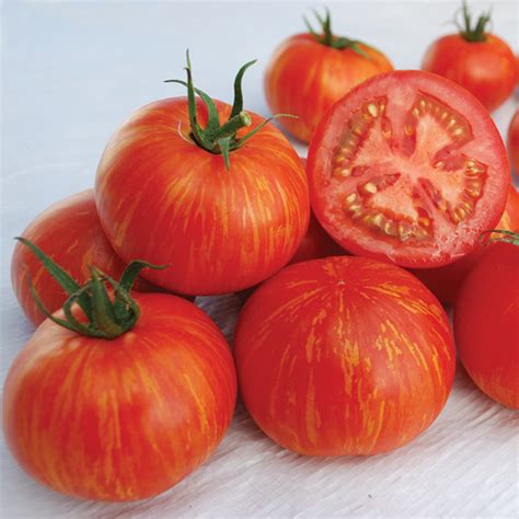 Skyreacher Tomato Medium Small Tomato Seeds Totally Tomatoes