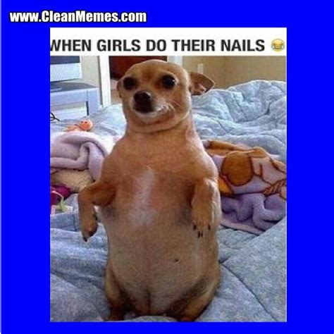 Funniest clips on the internet. Pin by Zoey Hill on Funny jokes / picture/quotes | Animal ...