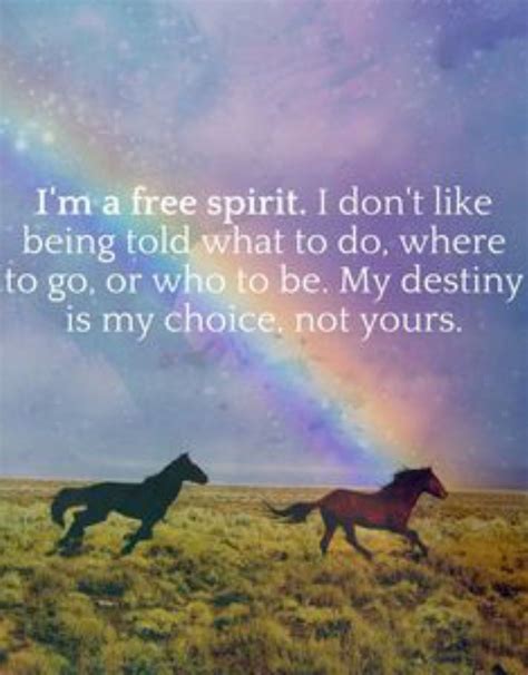 Im A Free Spirit Free Spirit Quotes Spirit Quotes Free Spirit