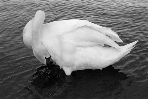 Streetfood in London | nightside