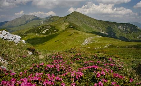 Parcul National Muntii Rodnei Atractii Turistice Bistrita Nasaud