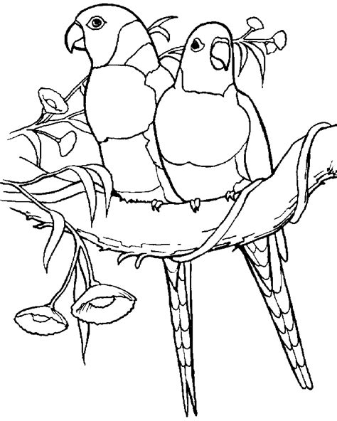 Parrot Coloring Pages To Print Coloring Home