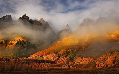 Fall Forest Mountain Nature Mist Colorado Landscape