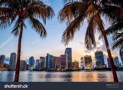 Miami Florida Skyline Bay Sunset Seen Stock Photo 428711317 Shutterstock
