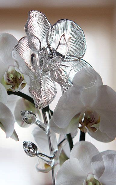 The fleurology collection reinvents the vase category with its companion glass flower and takes it to a higher form of art with exquisite shapes and complementary cutting patterns that merchandise harmoniously. Waterford Fleurology Orchid Flower | Waterford crystal ...