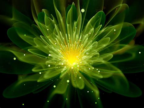 What Makes Plants Glow Information About Glowing Plants