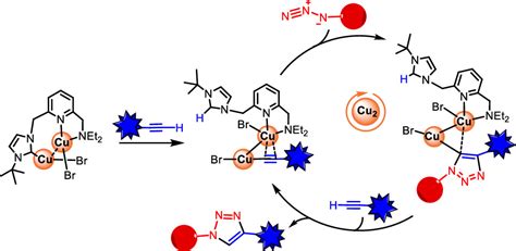 Copper Catalyzed Azidealkyne Cycloaddition Cuaac By Functionalized