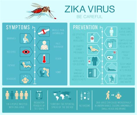 7500 Zika Virus Stock Photos Pictures And Royalty Free Images Istock