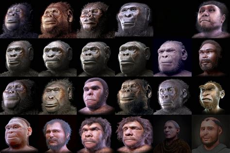 A New Human Ancestor Nesher Ramla Homo Track2training