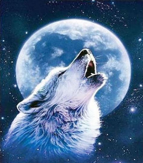 New Dream Stitch Kit Night Sky 5d Diy Wolf Uk Vm8626 Wolf Howling At