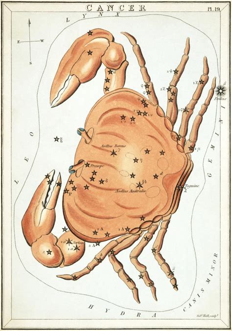 Due to this, you are likely to acquire some strong benefits. Staracle - Constellation Cancer (Cancer)