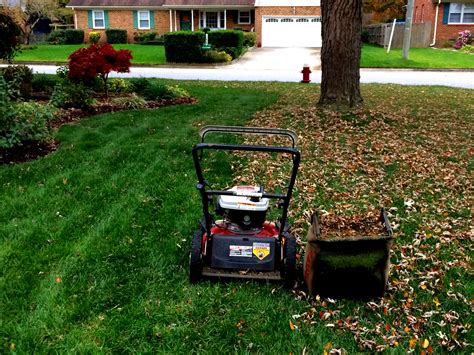 Fall Lawn Care Tips For Knoxville Tn