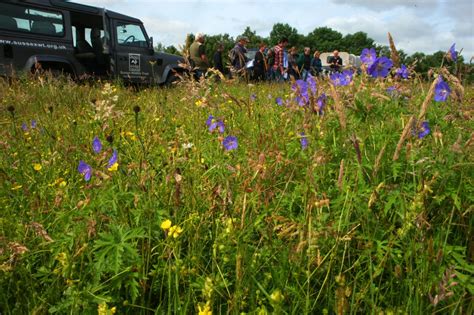 Blog Page 3 Of 6 Wild Flower Lawns And Meadows Page 3