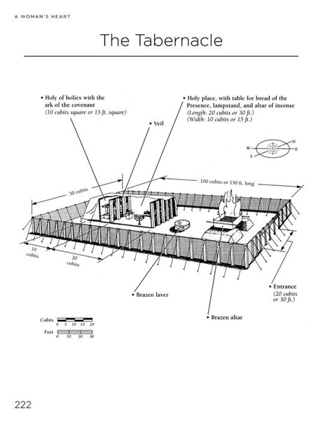 Printable Diagram Of The Tabernacle Wiring Diagram Pictures