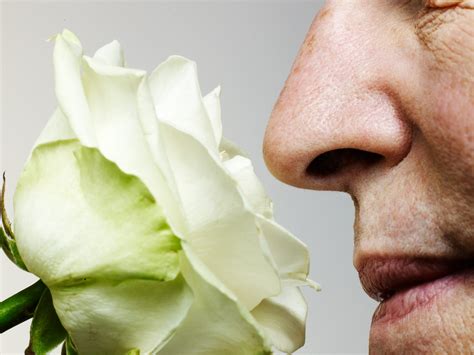 9 Medical Reasons You Re Losing Your Sense Of Smell The Healthy