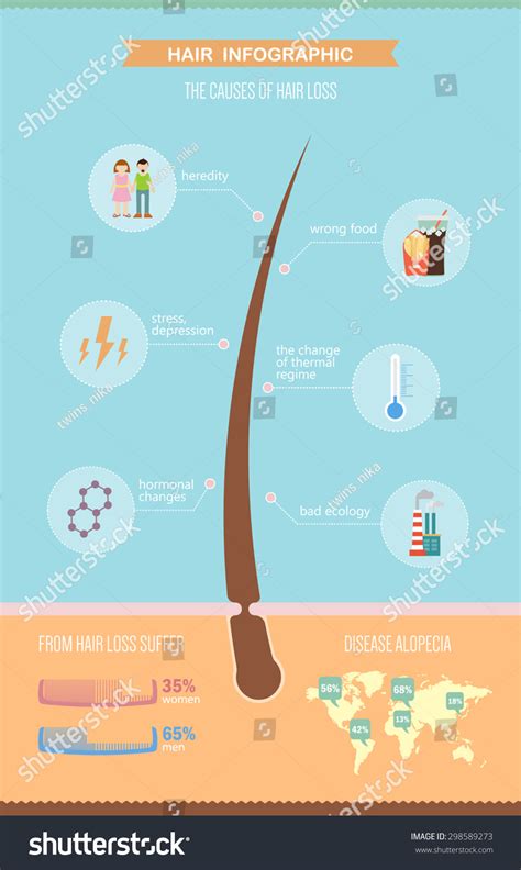 Hair Infographic About Problem Hair Loss Stock Vector 298589273 Shutterstock