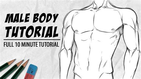 Divine Info About How To Draw Male Anatomy Airportprize