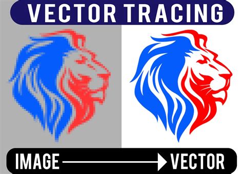 I Will Do Vector Tracing On Image Or Logo Vector Trace Redesign
