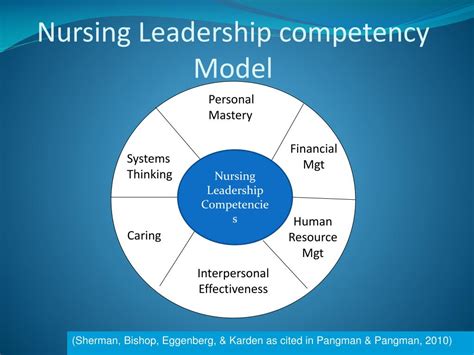 Nursing Competency Model