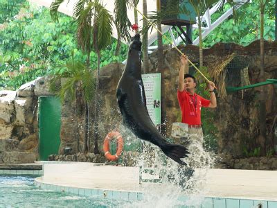 Inr 354 to senior citizens of malaysia. Zoo Negara - Show times