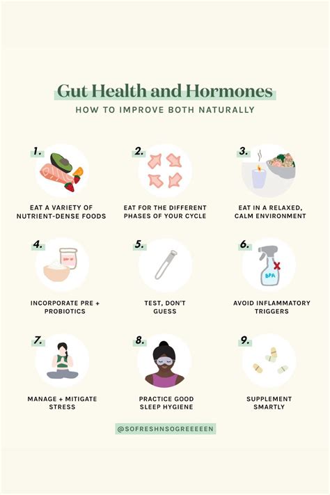 gut health and hormones how to improve both naturally improve gut health gut health health