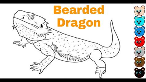 Learn How To Draw A Bearded Dragon Step By Step Drawing Tutorial