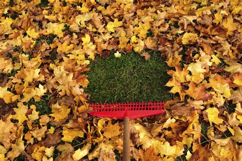 Maybe you would like to learn more about one of these? Fall Cleanup | Marck Recycling