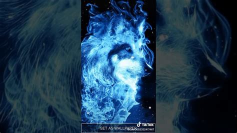 Subscribe to join the wolfpack Tik tok wolf - YouTube