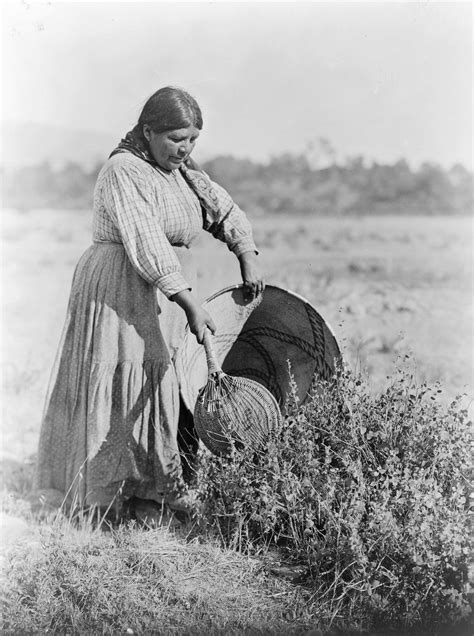 Pomo California Native Americans Hunter Gatherers Britannica